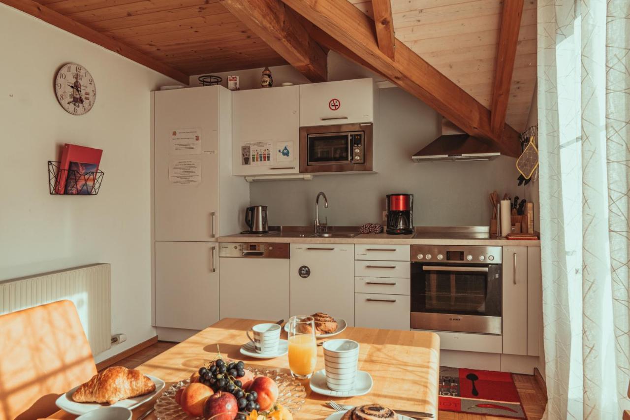 Armonia Altach, 2-6 P, 2 Schlafzimmer, Kueche, Parkplatz, Balkon, Wifi, Garten, Stellplatz Fuer Ski エクステリア 写真